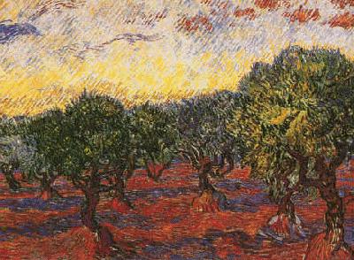 Vincent Van Gogh Olive Grove china oil painting image